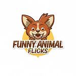 Funny Animal Flicks