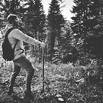 Go wherever you want