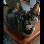 Stacy_M7924