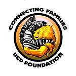 Connecting Families UCD Foundation