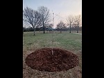 Nose To Nose With Nature