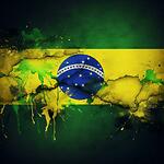 BRAZIL IN FOCUS