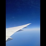 Travelicious