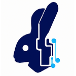 Rabbit AI Consultancy