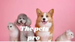 The"Pets Pro"