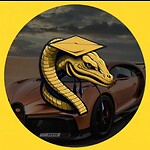 Cobra Check