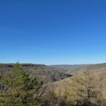 Tennessee Green