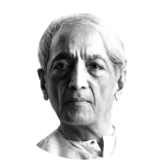 Krishnamurti Brasil