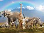 life is beautiful with animals