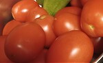 Winning In The Kitchen and Garden
