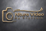 Unveiling the Making of Extraordinary Nature Videos