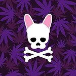 DankDog