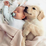 Babyster Love