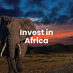 Invest In Africa with Wayne Fox