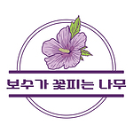 보수가 꽃피는 나무