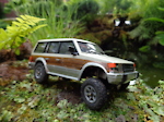 RC, model building, paintings, woodworking, bonsai, and many other hobbies