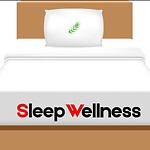 Sleep Wellness Solutions