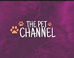 The pet Channel