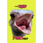 I have a passion for birds and I like to make funny montages and entertain viewers 📸 so don't hesitate to subscribe to the channel 😂🤣🤣