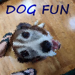 Fun dog videos and educational videos