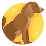 Featured DOGS Videos with JoyPuppy.com