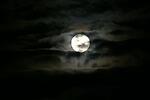 Peaceful Night