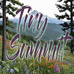 Tiny Summit Interviews
