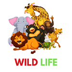 Wild Life