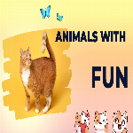 Animals Entertainment