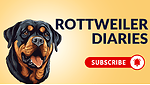 Rottweiler Diaries 25