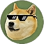 Doge Dog Lifestyle