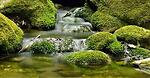 Nature&biologie