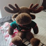 @moosefaceaksmseries