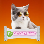 Cat Cute Funny