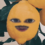 memes randoms