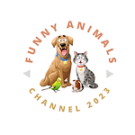 funnyanimalschannel2023