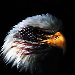 Resist Tyranny