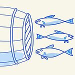 Port and Sardines