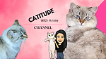 Catitude with Annie