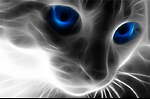 alais
