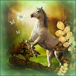 Horse & Butterfly Gaming