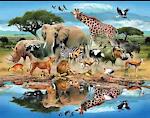 World Animal