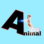 Nature and animals and beauty