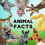 Animal Facts