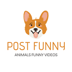 Funny Videos PF