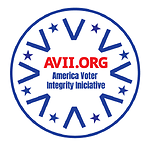 America Voter Integrity Initiative