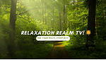 Relaxation Realm