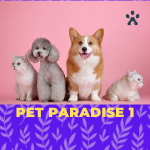 Pet Paradise