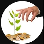 The Working Investor