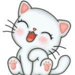 The Kitty Cat